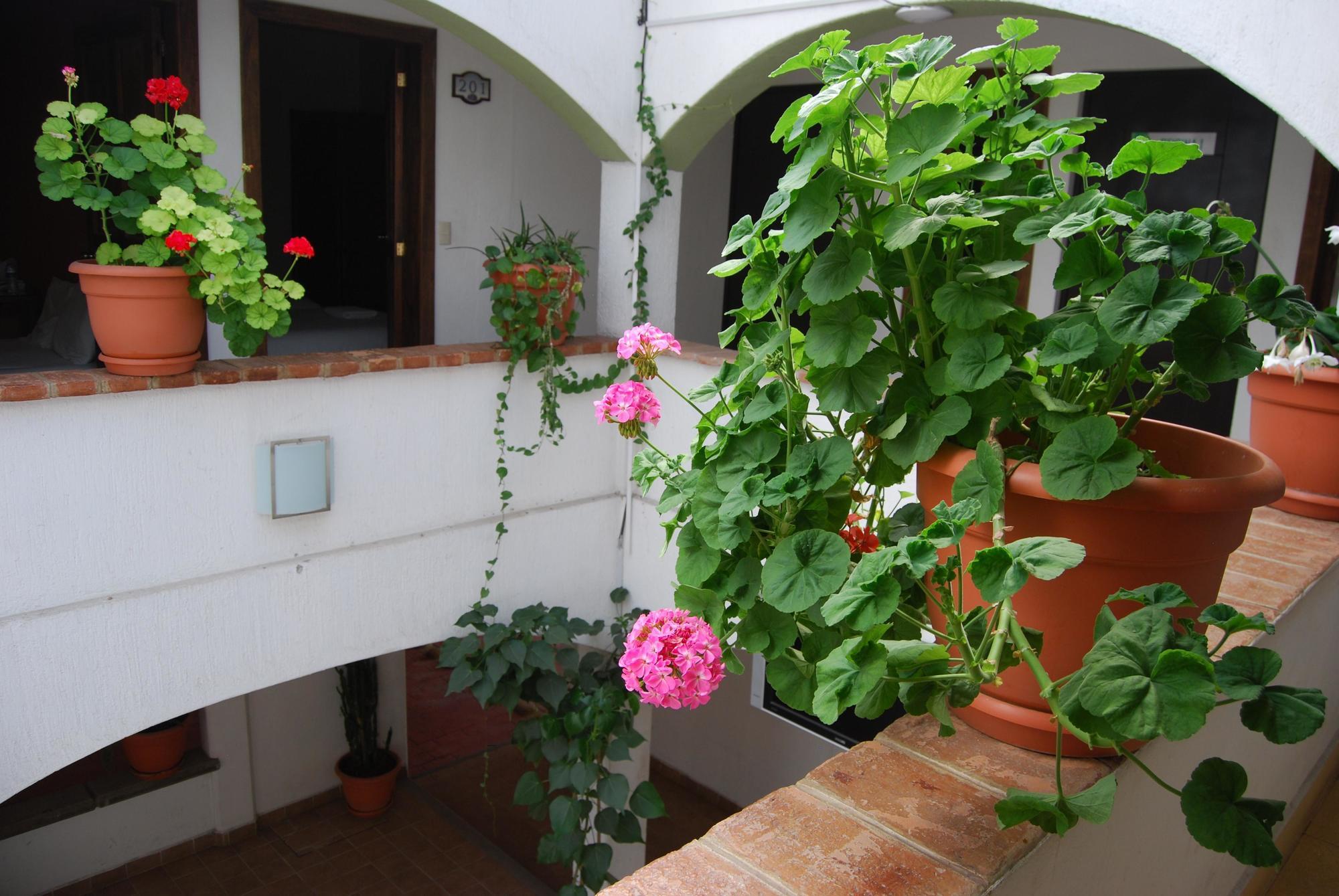 하르디네스 데 루스 호텔 San Cristóbal de Las Casas 외부 사진